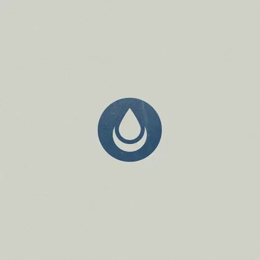 Water in the Moon