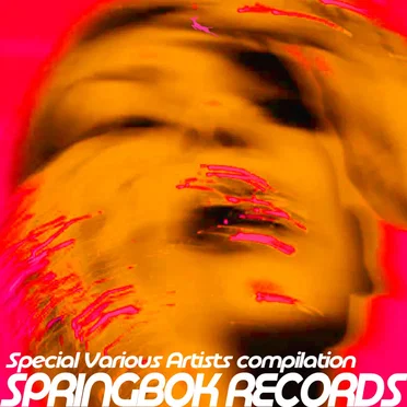 Special Various Artists Compilation Springbok Records by Various Artists - album cover