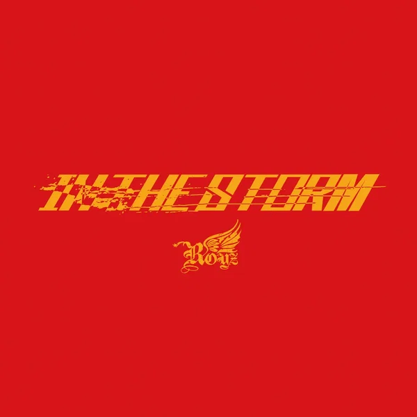 IN THE STORM