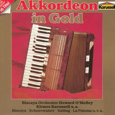 Akkordeon In Gold by Various Artists - album cover
