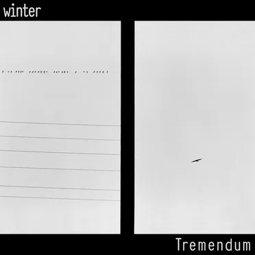 Winter by Tremendum - album cover