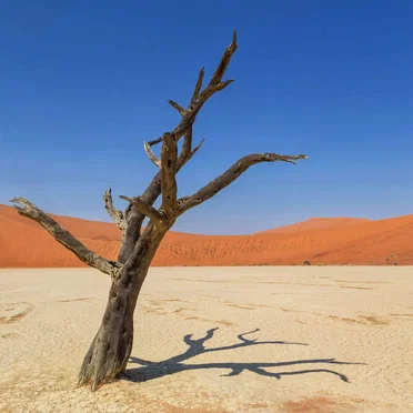 Modular live recording #4