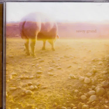 Accident Book by Savoy Grand - album cover
