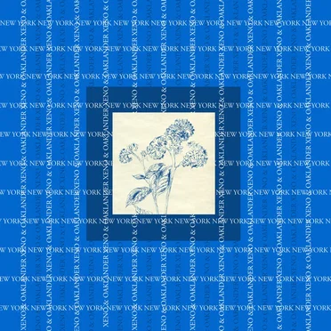 Blue Flower Live in New York