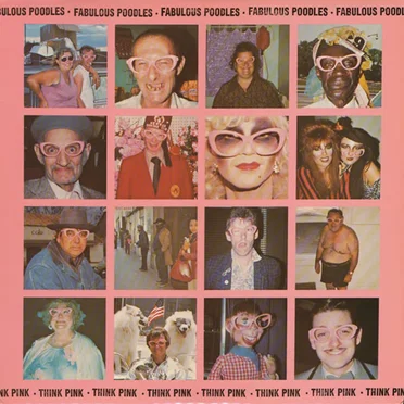 Think Pink by Fabulous Poodles - album cover
