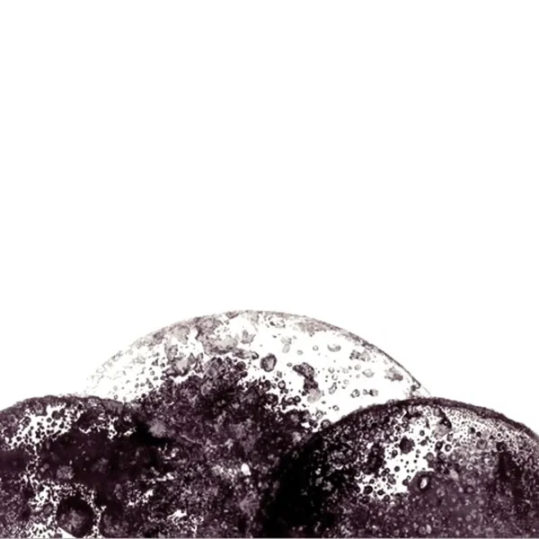 Dome 3
