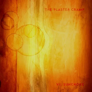 VI: Sunchoke by The Plaster Cramp - album cover