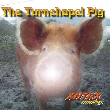The Turnchapel Pig