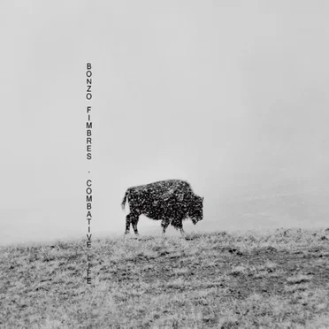 Combative Life by Bonzo Fimbres - album cover