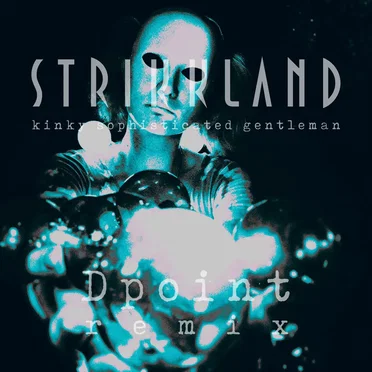 Kinky Sophisticated Gentleman (Dpoint remix) by Strikkland - album cover