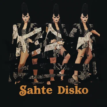 Sahte Disko by Sahte Disko - album cover