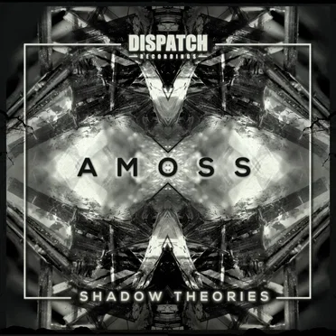 Shadow Theories