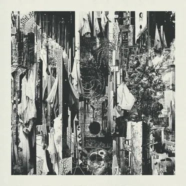 Black Rain Falls by Wren - album cover