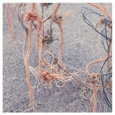 low.field III