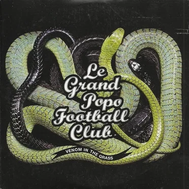 Venom in the Grass by Le Grand Popo Football Club - album cover