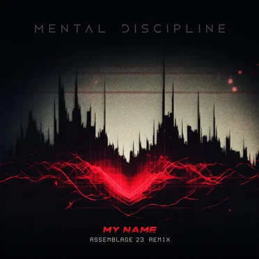 My Name (Assemblage 23 remix)