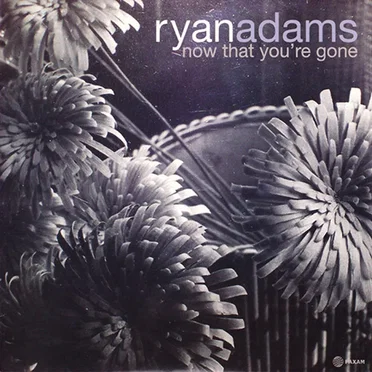 Now That You’re Gone