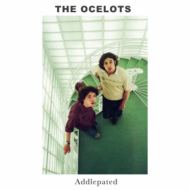Addlepated