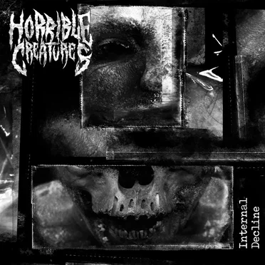 Internal Decline by Horrible Creatures - album cover