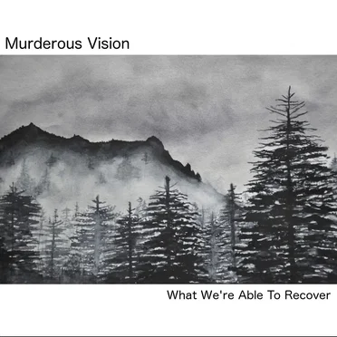 What We're Able to Recover