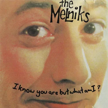 I Know You Are but What Am I? by The Melniks - album cover