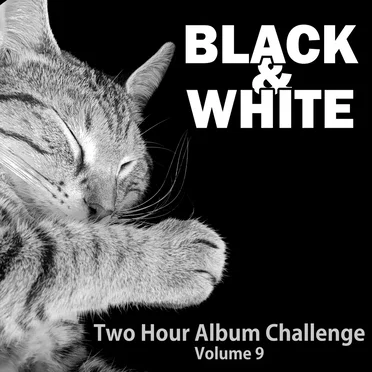 Black & White [2HAC Volume 9] by Various Artists - album cover