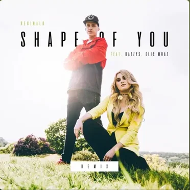 Shape of You (Remix) by Reginald - album cover