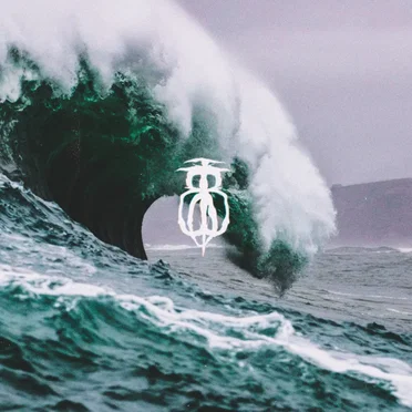 In the Tsunami