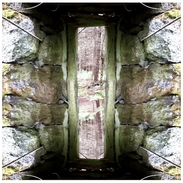 There Is No "Up". by Junkyard Shaman - album cover