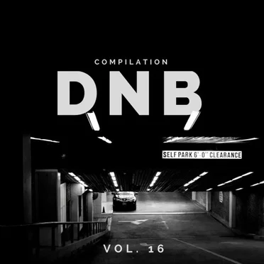 DnB Music Compilation, Vol. 16 by Various Artists - album cover