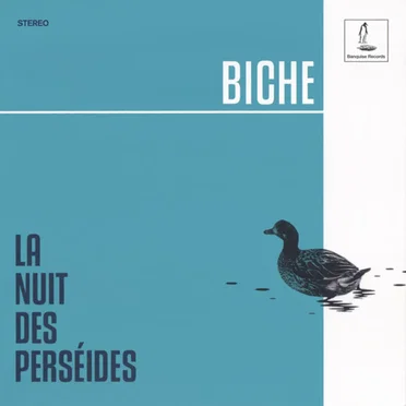 La nuit des perséides