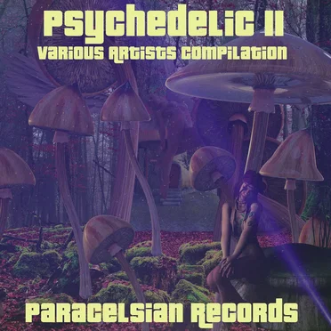 Psychedelic II, Stoned On Mushrooms by Various Artists - album cover