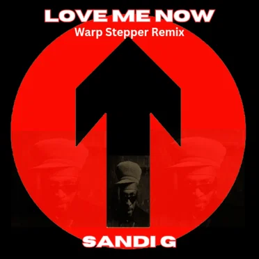 Love Me Now - Warp Stepper Remix by SANDI G - album cover