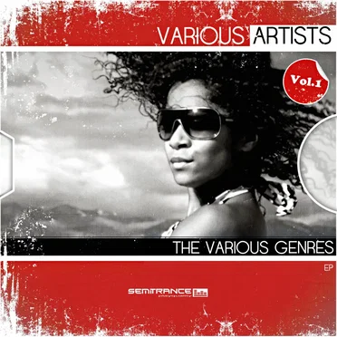 THE VARIOUS GENRES, Volume 1: EP 2012 by Pavel X. Rakusan - album cover