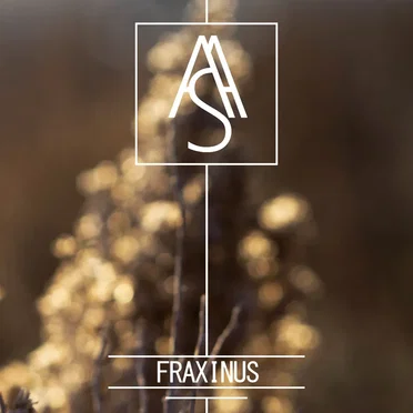 Fraxinus