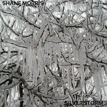 Silver Storm