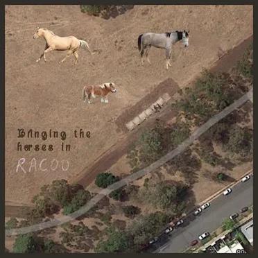 Bringing The Horses In by Racoo - album cover