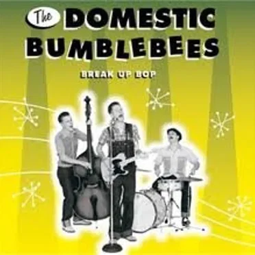 Break Up Bop by The Domestic Bumblebees - album cover