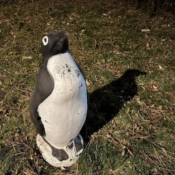 Alan Sparhawk Solo Band