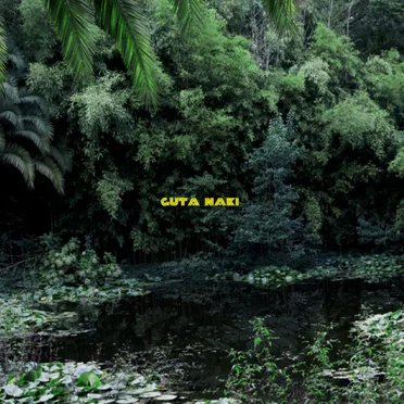Perto como by Guta Naki - album cover