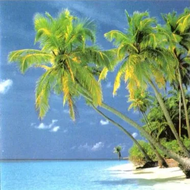 Welcome to Reggaeland: The Best of Reggae Hits by Various Artists - album cover