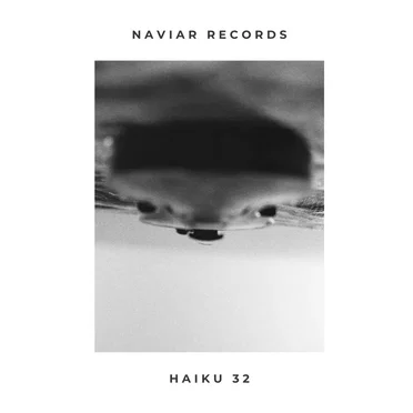 Naviar Haiku 32 by Various Artists - album cover