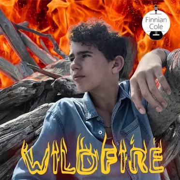 Wildfire
