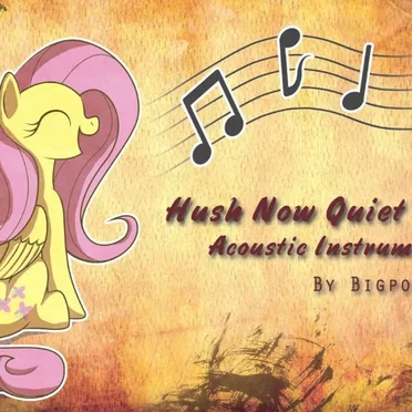 Hush Now Quiet Now (acoustic instumental) by BigPonyMac - album cover