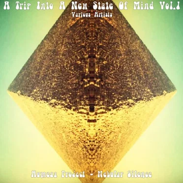 A Trip Into A New State Of Mind Vol. 1 by Various Artists - album cover