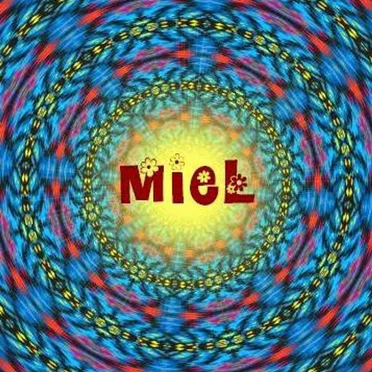 Antología 1974-1979 by Miel - album cover