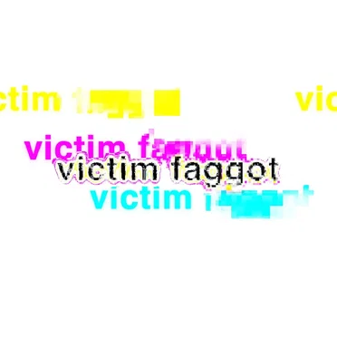 Victim F*gg*t