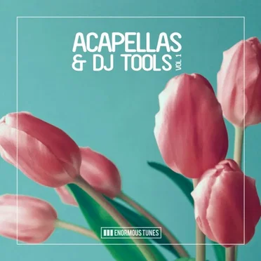 Enormous Tunes - Acapellas & DJ Tools, Vol. 1 by Various Artists - album cover