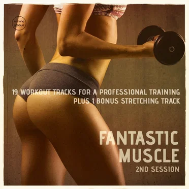 Fantastic Muscle, 2nd Session by Various Artists - album cover