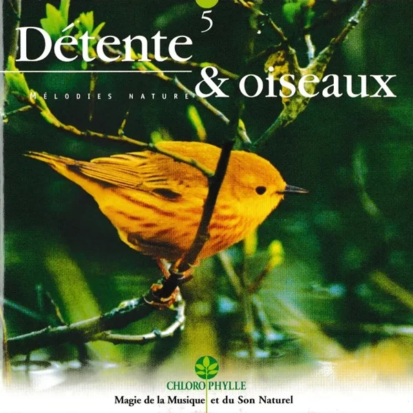 Détente & oiseaux